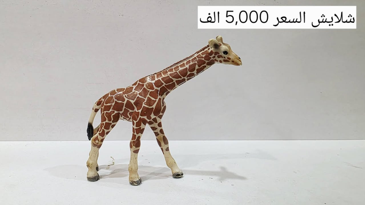السلام عليكم
مجموهة حيوانات شلايش للبيع
كل قطعة وسعرها موجود على الصوره
موجود توصيل بغداد فقط
للحجز مراسله على الواتساب ***********
