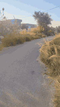 قطع للبيع مساحة القطعه 400م نباع منهه 200م وبقت 200م البيت اتفلش انطيك...