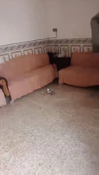 الثورة • ٩٠م • بناء حديث