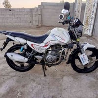 سنكي • ٢٠١٨ • الضلوعيه