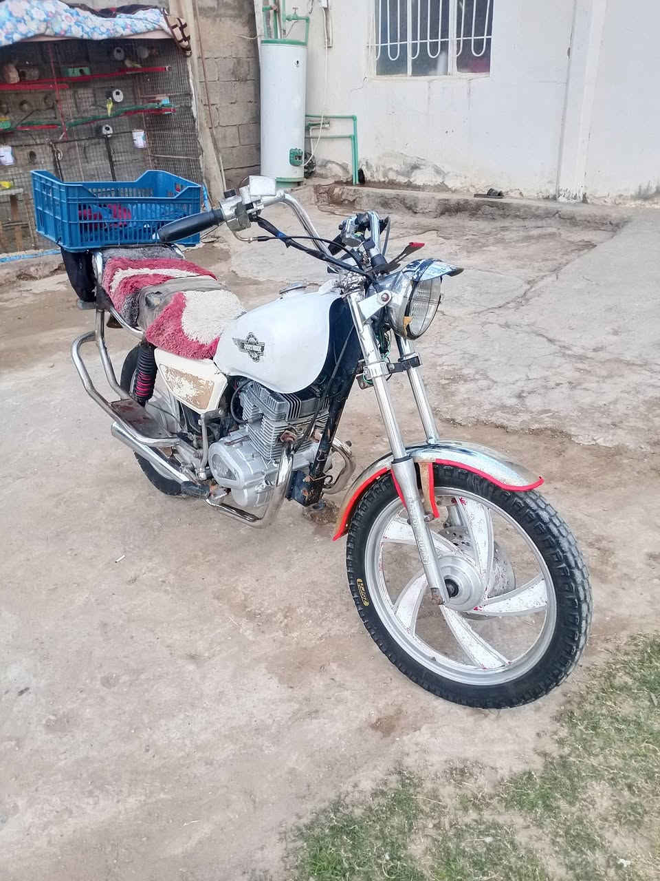 السلام عليكم جني موديل 13 بدون اوراق دراجه •اللّـہ̣̥ شاهد عليه خير م̷ـــِْن •الڵـهٍ  بي مكينه حجم 200 اي نظوح مابيها  دبل صلنصه دبل بلك بالعباس خير م̷ـــِْن •اللّـہ̣̥ تخم تاير مستعملات ايمشنك فوك 5 اشهر لايت امامي شغال فقط اشاير لايت خلفي مابي ماماخذله
#ملاحظه_أإأذأإأ_بيع_سعره_175_وذا_اكو_مراوس_بدراجه_ايراني_سيفان_تايكر_نامه_ارشه
مكاني ديالئ شهربان المقداديه
***********
