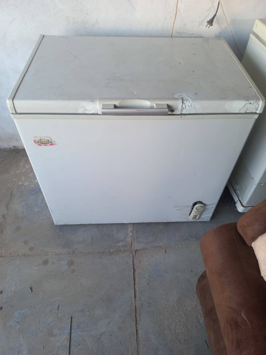 مجمدات بالة مختلف الاحجام والانواع كلمن سعرها


**إذا كنت صاحب هذا الإعلان وتريد حذفه لأي سبب، رجاءا أرسل رسالة إلى الدعم الفني**