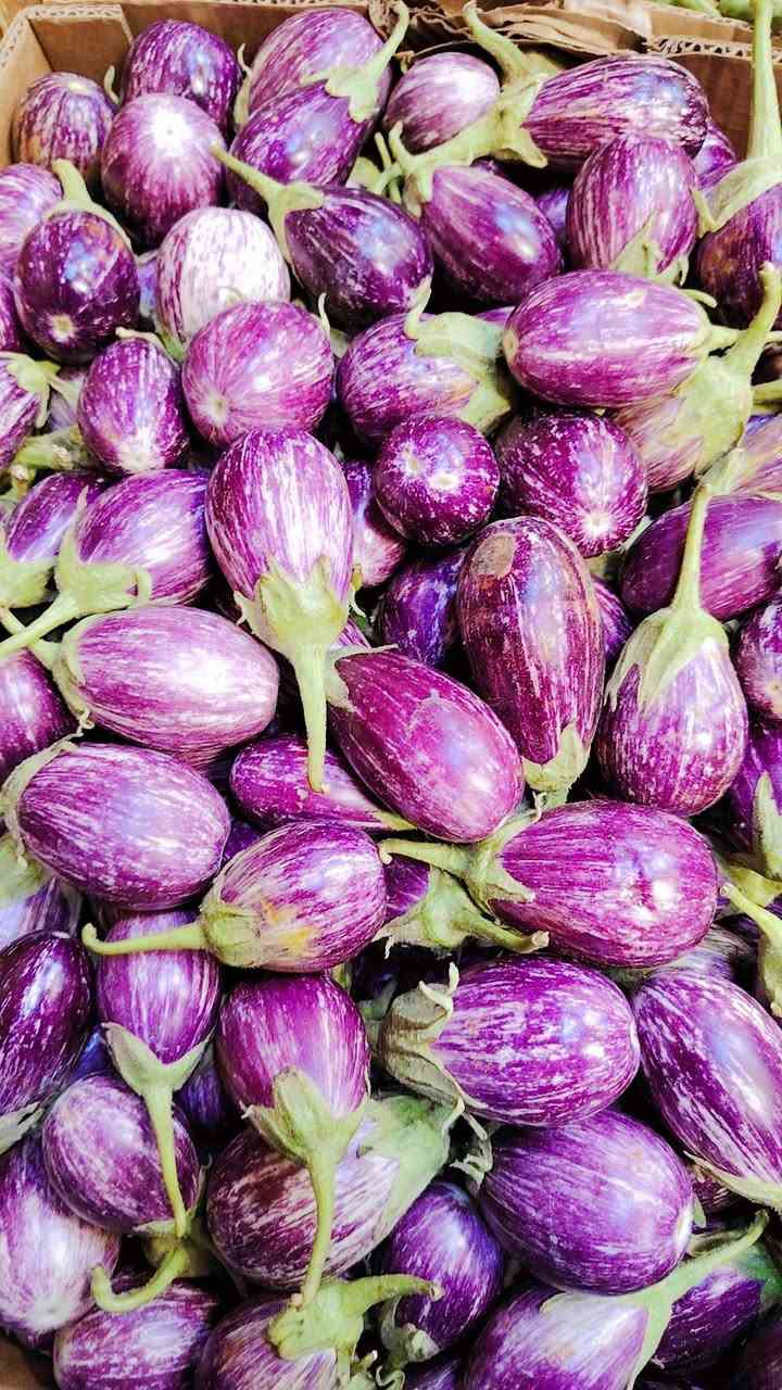 بسم اله وعلى بركه الله مسواك جديد
طماطه صغار هيتاويه ام الطعم
باذنجان مكدوس سوري
العنوان هيت حي جمعيه قرب محطة قلعة هيت المشيده


**إذا كنت صاحب هذا الإعلان وتريد حذفه لأي سبب، رجاءا أرسل رسالة إلى الدعم الفني**