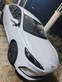 سيل ٥ • ٢٠٢٥ • كفالة عامة