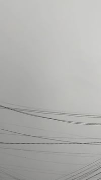 سكنس نثية • كامله • مجفته