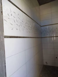 اخوتنا الخلفات السلام عليكم گاصوص سيراميك متفرغ وملتزم والله يرزقكم وي...