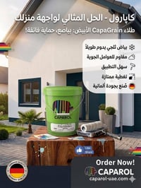 كابارول • طلاء واجهات • مظهر حبيبي
