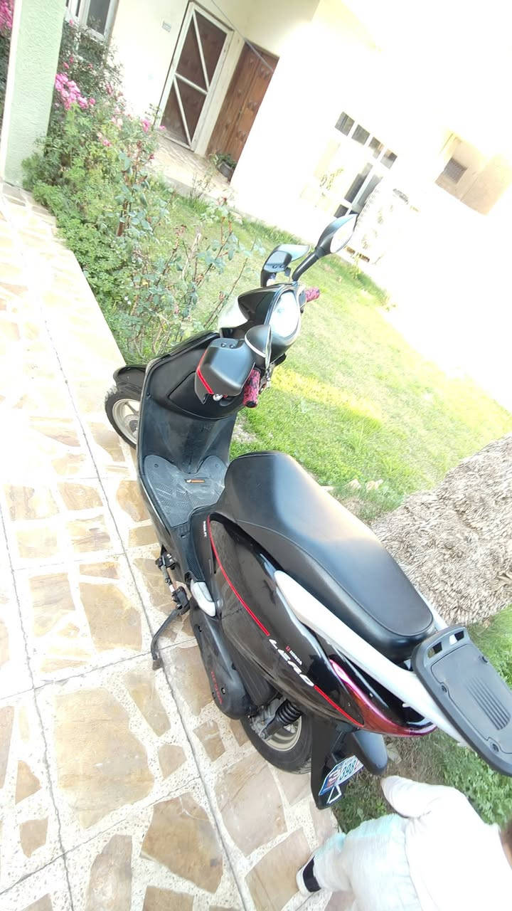 ليدي حديث للبيع مامخله عليه سبانه وشرط الف ماتصرف عليه***********
