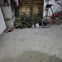 طابو ملك صرف • ٥٥م • الحسينية الراشدية