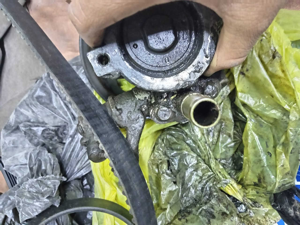 سلام عليكم باور مال تفصيخ مال سياره فورنزا +صندوك مال تفصيخ بي ضربه يرجع على بارد انته كدامك + تاير مال باله ماب ولا بنجر وثاني جديد نوعيه زينه الله شاهد هم مابي بنجر + دبه ماي راديتر اصلي مفتوح بس قبق ماله
قيم بل يرضى الله واخذهن 
مكاني بغداد مدينه الصدر 
***********
