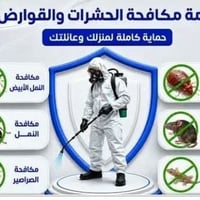 الأرضة ما تنتهي بالمبيدات المؤقتة  .. الأرضة من أخطر الحشرات الي ممكن ...