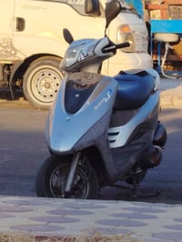 بريز ببغاء • مرخصت • بوكالة