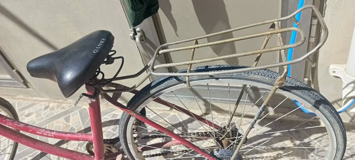 بايسكل ياباني حجم ٢٦ يحتاج چوب بس خلفي سعره ٣٠ بيه مجال


**إذا كنت صاحب هذا الإعلان وتريد حذفه لأي سبب، رجاءا أرسل رسالة إلى الدعم الفني**