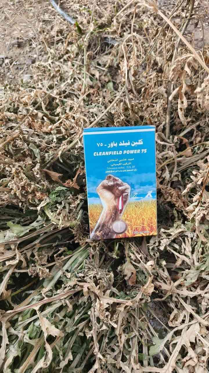 يتوفر في مكتب عبدالله الهلال الزراعي   مبيد الأوراق العريضة  كلين فيلد الخاص بالفجيلة البيضاء  و الصفراء و طيف واسع من الادغال العريضه.
المسجل لدى وزارة الزراعة العراقية ، آمن على التربة وبدون أي أثر متبقيي

لطلب المبيد راجع المكتب ، طريق المظهورية مقابل مطعم الحمداني 

متوفر توصيل لجميع المحافضات 

هـ ***********
هـ ***********
