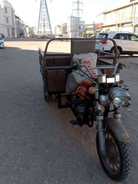 ستوته • بدون أوراق • كربلاء