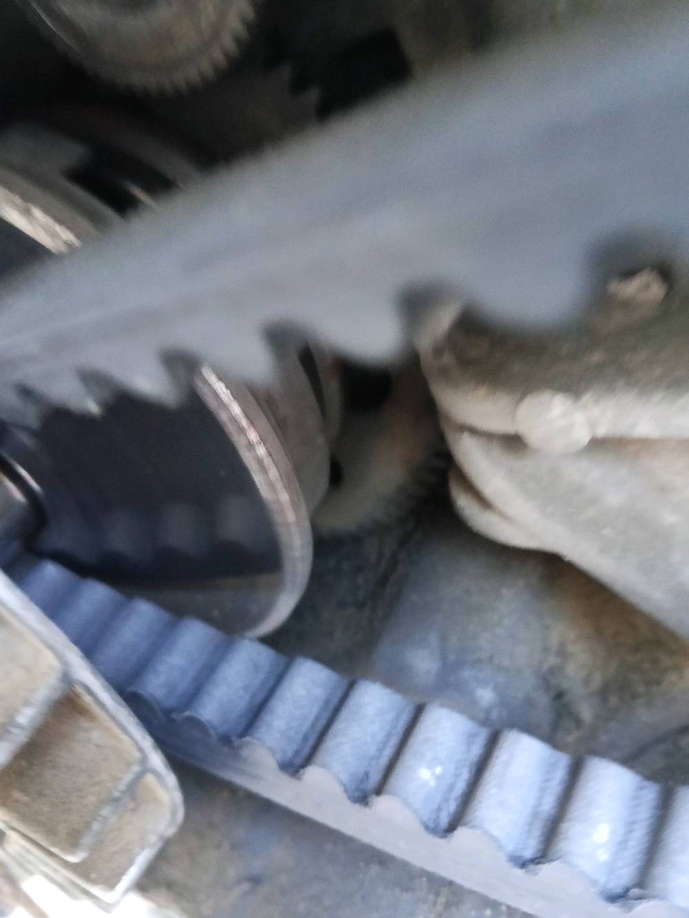 ماكس عدله نضيفه كلش ياباني
عليهه تزويد هواي 
بوشه 55 وستر
ولفات وستر
يدات بريك كوسو
يدات سكليتر رياضي
جنكال رياضي
قبق شاصي
كبات ارضيه
قبق فلاوين ncy 
قطره دهن رياضي
وياله رياضي
عقل رياضي
كزوز fm
حامل تليفون
كابريتر بلادي
فاكيوم جديد
معدل 125
كلجات رياضي 
كلج امامي wf 
كلج خلفي  DSHS مال تفصيخ دراجات مطارح
قايش rgs
عنواني بصره تنومه شارع 36
***********