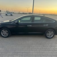 ٢٠١٦ • رقم سليمانية • وارد امريكي