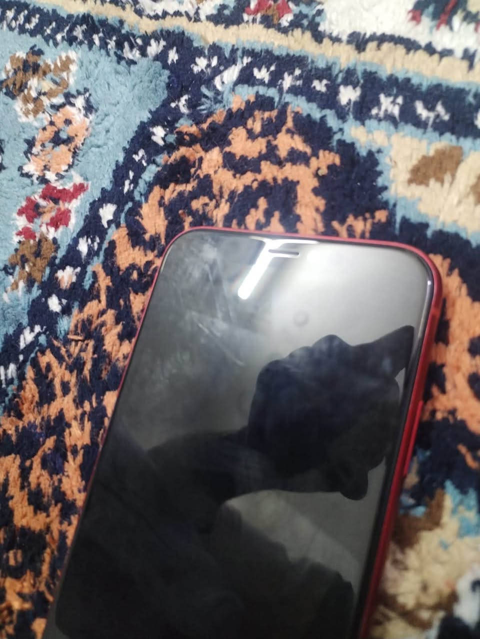 آيفون Xr ذاكره ٦٤ بطاريه ٧٦ فيس إيدي متوقف جهاز بي فقط فطر بالكلاس ممائثره ابد سعره ١١٠ 
مكاني بالشعب ***********
