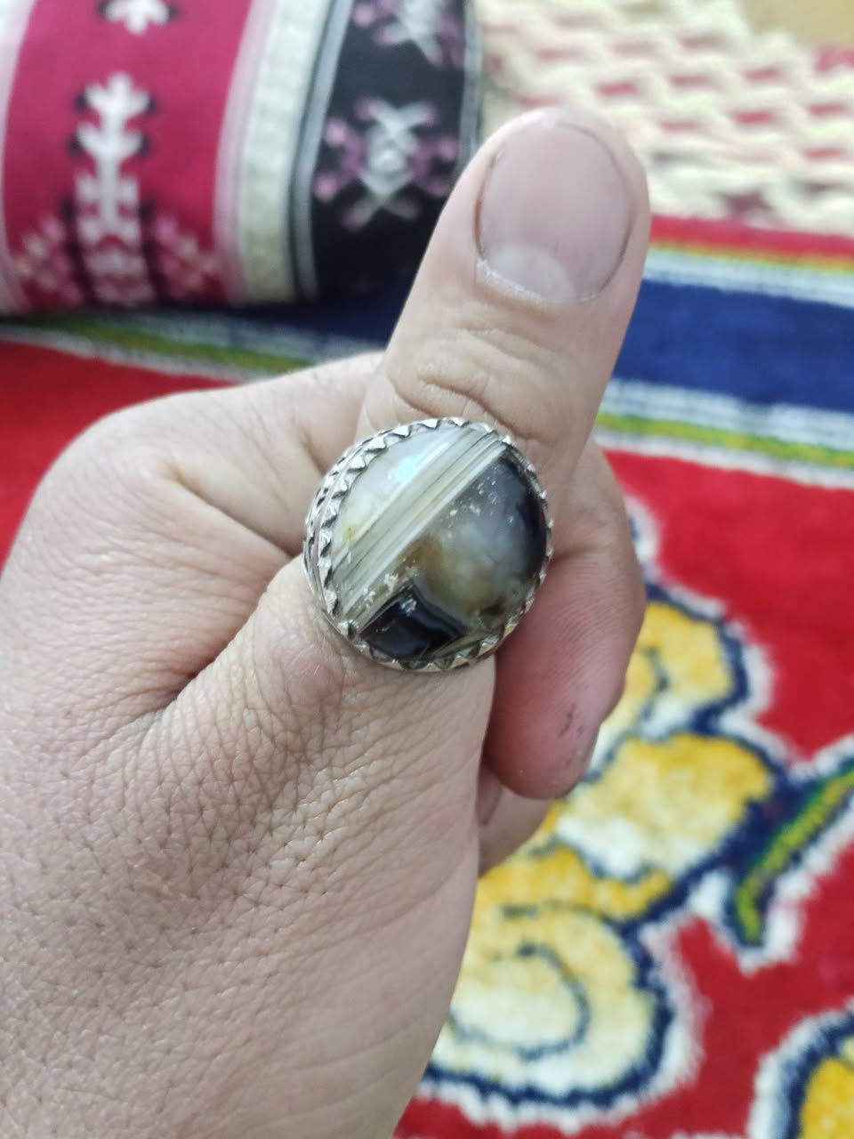 محبس يماني بقري مكان بغداد العبيدي شارع يوسف لسعر الخاص


**إذا كنت صاحب هذا الإعلان وتريد حذفه لأي سبب، رجاءا أرسل رسالة إلى الدعم الفني**