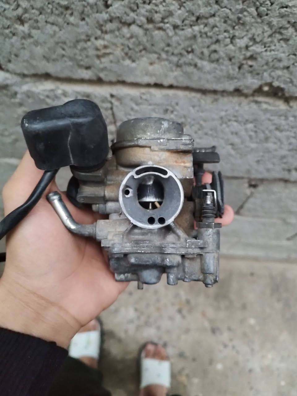 السلام عليكم كابريته بلادي مال حاويه للبيع سعرهه 20 العنوان كرمه علي العسافيه ***********
