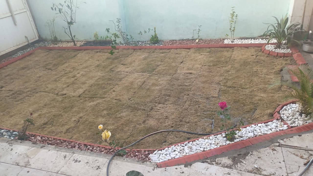 تم اليوم بتاريخ 2026/1/23 نجاز حديقه في الحله/المهندسين
للاتصال *********** او مراسله وتس اب
