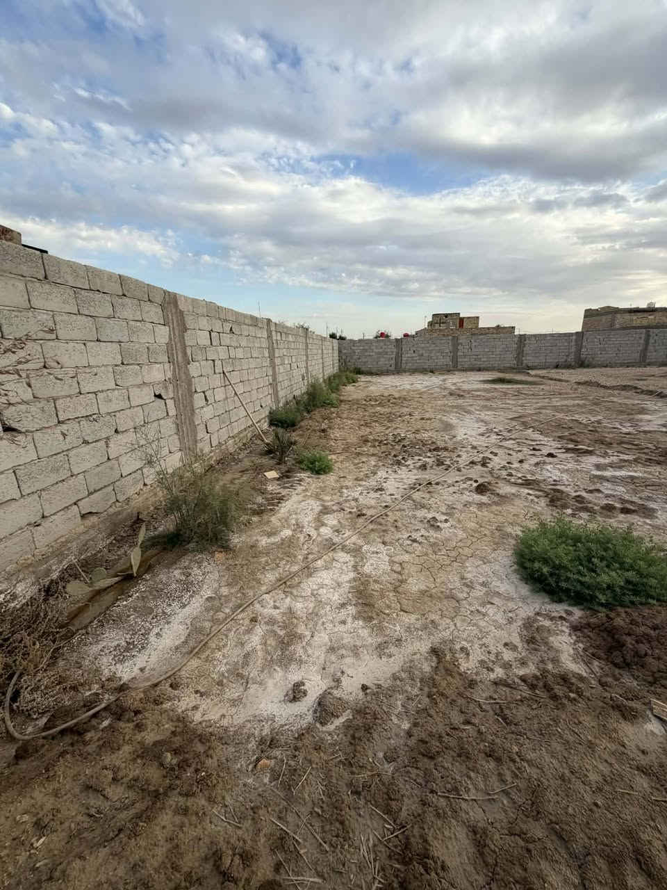 أرض زراعية للبيع 900 م في مجمع اللؤلؤة كافة الخدمات متوفرة الأرض مسيجة وتحتوي على كرفانات *********** مكتب المحنه...
  راسل الصفحة ويوصلك السعر
