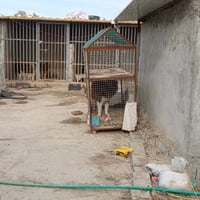 650 متر ركن للبيع طابو زراعي سند 25 تتوفر فيها جميع الخدمات ماء اساله ...