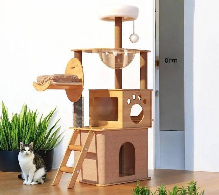 متوفرات خلي سعر وبلعافيه


**إذا كنت صاحب هذا الإعلان وتريد حذفه لأي سبب، رجاءا أرسل رسالة إلى الدعم الفني**