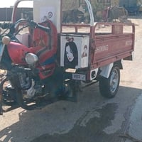 ستوته • موديل 2020 • أوراق أصلي