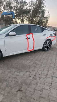 التيما • ٢٠٢٠ • صور