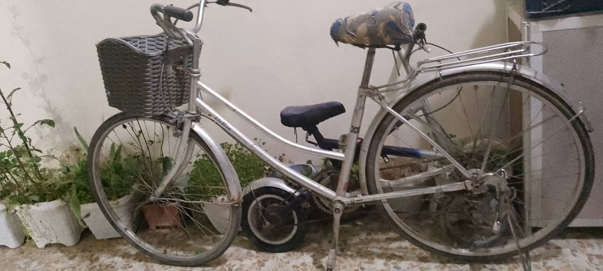 السلام عليكم بايسكل للبيع الويل الورا يعوزو 4 تيول والجوب الورا بنجر اذا مراوس اراوس و انطي فرغ ميخالف و اذا بيع السعر 65 و بي مجال مكاني موصل الايسر حي القدس ***********
