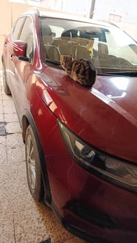 نيسان روج ٢١محرك ٤سلندر كونان جلد كهرباء تبريد قطعتين مركزي بصمه تشغيل...