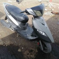 ثعلب • شغالة • مكاني الحرية