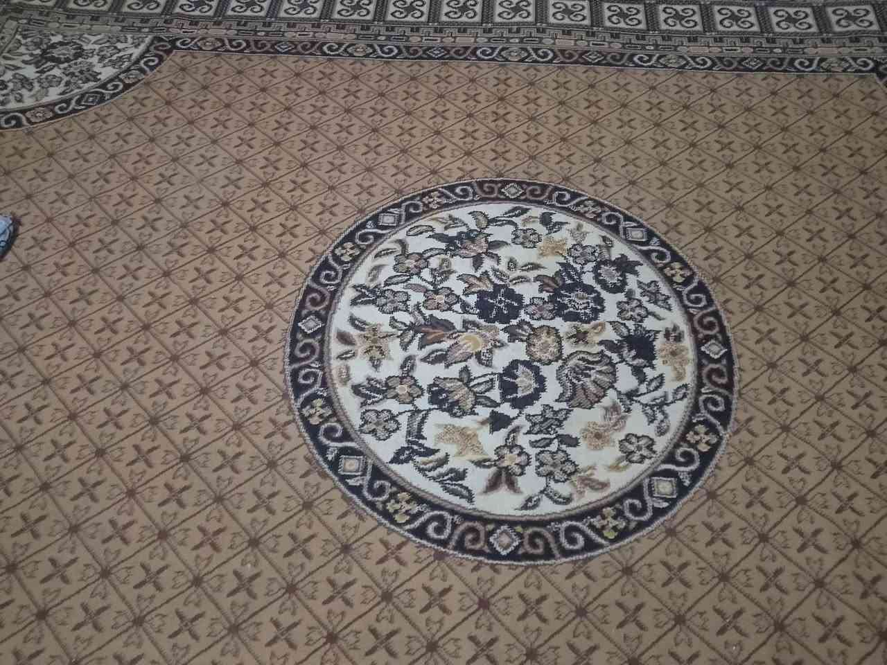 السلام عليكم
زوالي عدد 3 للبيع كل وحدة ب 5 
عنوان فلوجة حي شهداء قرب جامع الشمري 
***********
