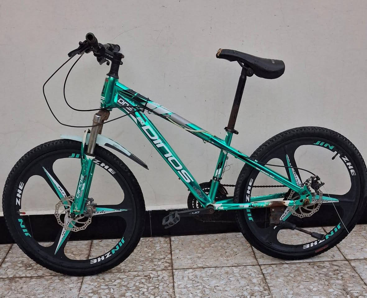 🚴‍♂️ متوفر لدينا 4 بايسكلات بحالة جيدة للبيع
الأول: بايسكل DINOS أخضر (جبلية)
✅ الهيكل: ألمنيوم خفيف الوزن
✅ المقاس: 24-26 تقريباً
✅ مناسب للمشاوير اليومية والاستخدام داخل المدينة
💰 السعر : 65,000

الثاني: بايسكل DINOS أزرق (جبلية متعددة السرعات)
✅ الهيكل: رياضي متين
✅ المقاس: 22 تقريبا 
✅ مناسب للشباب والطلاب والاستخدام اليومي
💰 السعر : 60,000

الثالث: بايسكل RAPTOR أسود وأحمر (سيتي بايك)
✅ الهيكل: خفيف ومريح
✅ المقاس: 26 إنج تقريباً
✅ گير 3 سرع (٣×٧) 
✅ مناسب للمشاوير داخل المدينة والتنقل اليومي
💰 السعر : 100,000

الرابع : بايسكل ( HERO ) هندي
✅ حجم 28
✅ استعمال قليل
💰 السعر : 100,000

للاستفسار واتساب : ***********
***********
