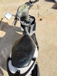 ماكس ثعلب • جديده • تشغل