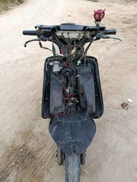 فراشه • فحل • مكينه خرسه