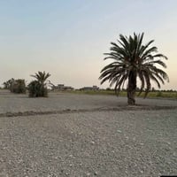 قاع للبيع منطقه شيخ عامر بسته الدونات07875328098