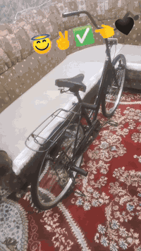 باسكل • حجم ٢٦ • اسود