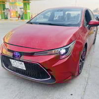 كورلا • ٢٠٢٠ • رقم بغداد