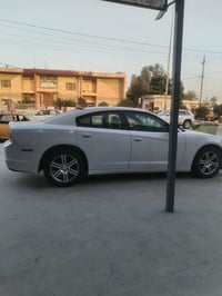 باجر ٨ص • نهروان-الديوانية • مشاركة