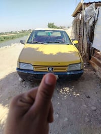 بيجو روى • ٢٠١٠ • ناحية شيخ سعد