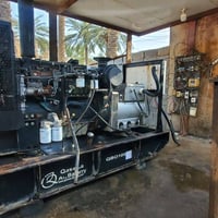 مولده البيع 100 كيفي اتصال عل رقم 07808813503