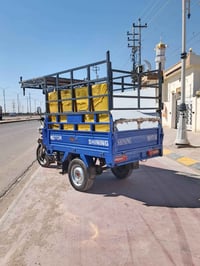 ستوته ٢٣ • شره بسيط • فلوجه