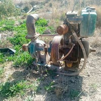 ماكور هندي كاز اللبيع 350 او بي مجال استفسار   ع رقم 👇 ‏‪07516744901‬‏