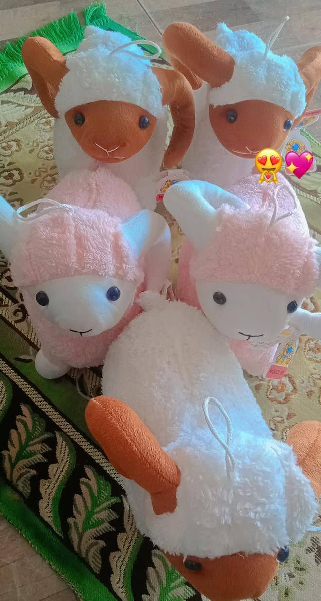 قصر شو 👸🏻🌹

عيد الاضحي 
يعني خروف العيد 
قصر شو 👸🏻🌹
وفرتلكم اكبر كولكشن علي مستوي وادي النطرون 
بسعر 🔥💥

العنوان شارع المركز الطبي بجوار مكتبه عمر المختار سابقا الاندلسيه حاليا 
https://www.facebook.com/profile.php?id=61559930008364
جروب الفيس 
https://chat.whatsapp.com/CfJagJ30kOD384EfRJWUNJ
جروب الواتس


**إذا كنت صاحب هذا الإعلان وتريد حذفه لأي سبب، رجاءا أرسل رسالة إلى الدعم الفني**