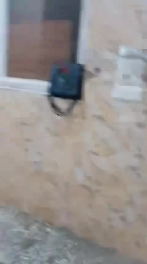 شقه الايجار طابق اول تحتوي علئ غرفتين واستقبال ومطبخ وحمام بنيان حديث عنوان مقابيل الامام ابوً حنيفه اي استفسار اتصل علئ رقم ***********بي وتساب
