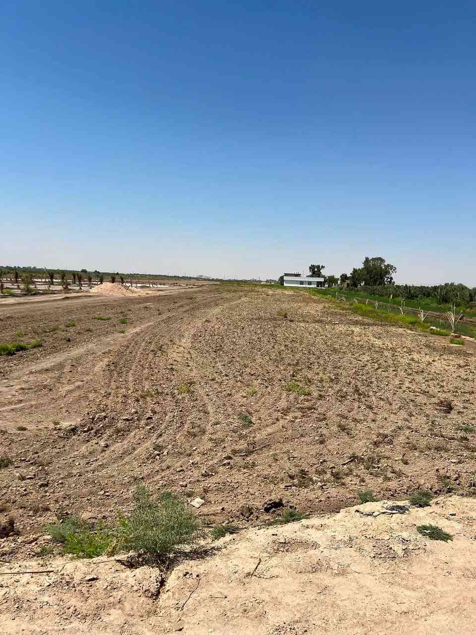 ✅توجد ٣ دوانم للبيع طابو زراعي ٢٥ كافه الخدمات 

✅الموقع طريق كربلاء نجف عمود ١١٤١ منطقة الجذار قرب مدرسه المجتبي 

سعر الدونم ٧٥ مليون وبيه مجال للشراي 

للاستفسار الاتصال ***********

