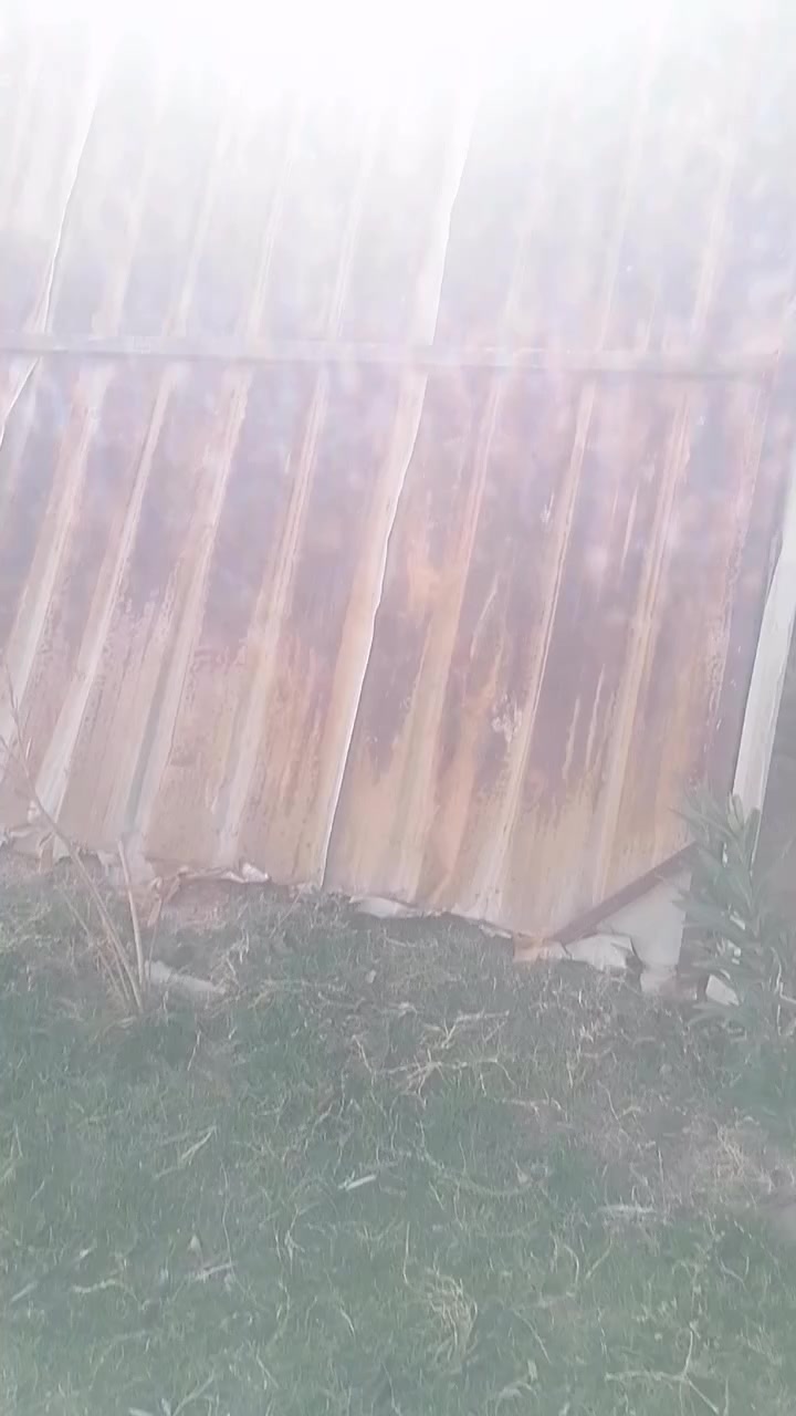 سقيفه للبيع قفل ١٠٠ مكان الوركاء شباك ثقيل قفل ٥٠,,,,, ***********
