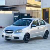 أڤیۆ • ٢٠٠٩ • فتيس عادي